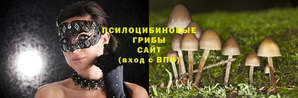 apvp Алексин